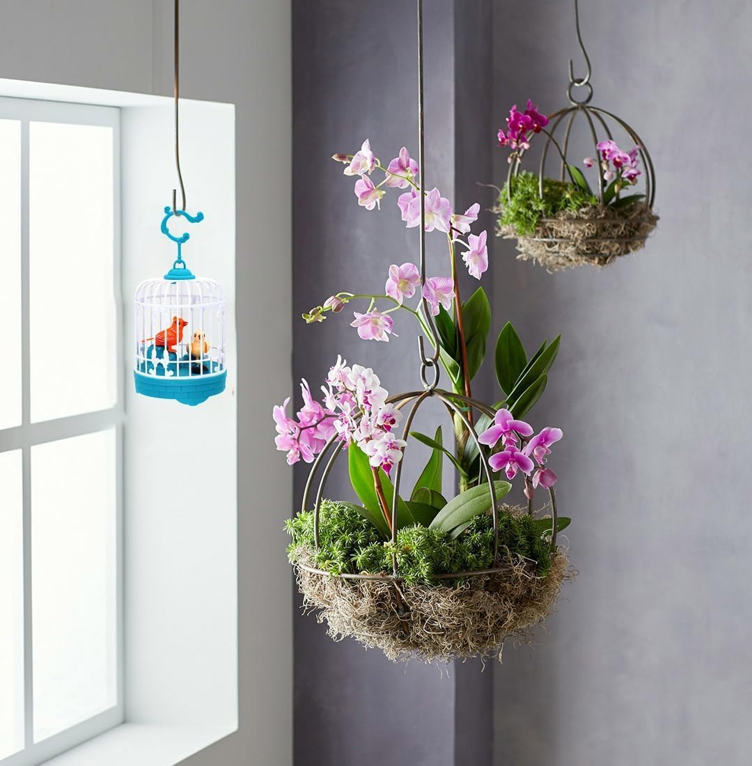 Talking Bird Toy for Kids - Interactive Repeat